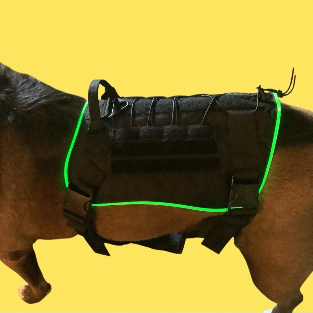 LED Light Up Dog Harness - 3 Glowing modes, 5 colors. Easy on and off. NEW